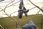 DSC_9128.JPG